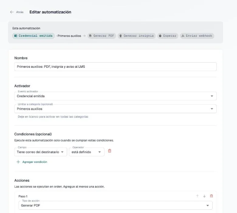 Página Editar automatización con el resumen, el nombre, el activador, el límite de categoría y una condición