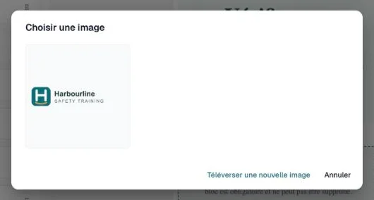 Boîte de dialogue Choisir une image avec le logo de l'organisation et Téléverser une nouvelle image
